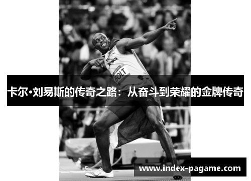 卡尔·刘易斯的传奇之路：从奋斗到荣耀的金牌传奇