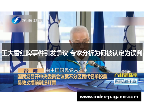 王大雷红牌事件引发争议 专家分析为何被认定为误判