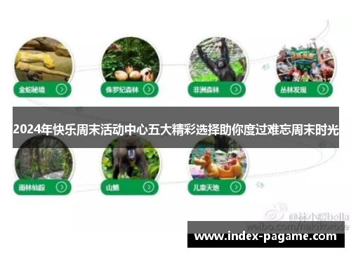 2024年快乐周末活动中心五大精彩选择助你度过难忘周末时光