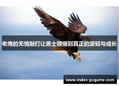 老鹰的无情敲打让勇士领悟到真正的坚韧与成长