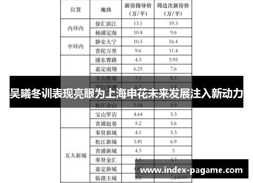 吴曦冬训表现亮眼为上海申花未来发展注入新动力