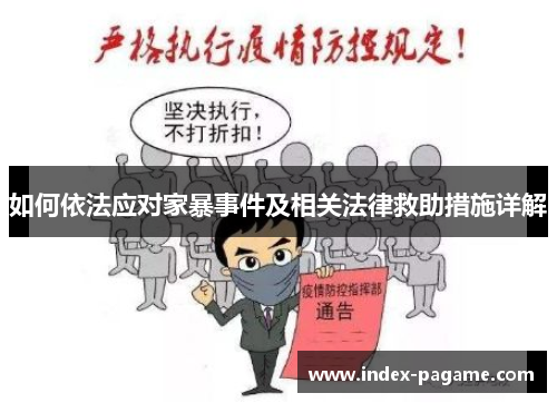 如何依法应对家暴事件及相关法律救助措施详解