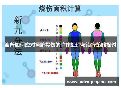 波普如何应对肾脏损伤的临床处理与治疗策略探讨