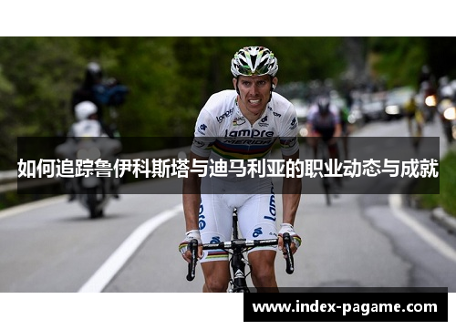 如何追踪鲁伊科斯塔与迪马利亚的职业动态与成就