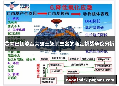 费内巴切能否突破土超前三名的瓶颈挑战争议分析