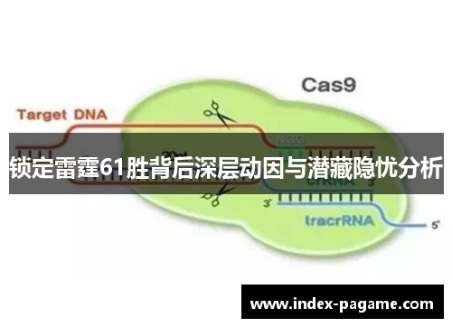 锁定雷霆61胜背后深层动因与潜藏隐忧分析