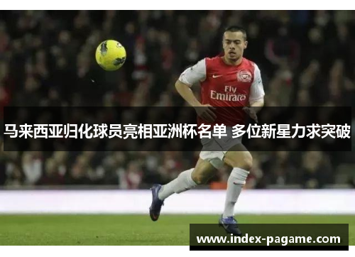 马来西亚归化球员亮相亚洲杯名单 多位新星力求突破