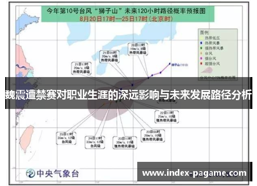 魏震遭禁赛对职业生涯的深远影响与未来发展路径分析