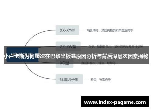 小卢卡斯为何屡次在巴黎坐板凳原因分析与背后深层次因素揭秘