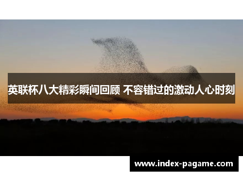 英联杯八大精彩瞬间回顾 不容错过的激动人心时刻