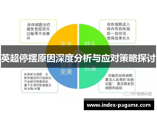 英超停摆原因深度分析与应对策略探讨